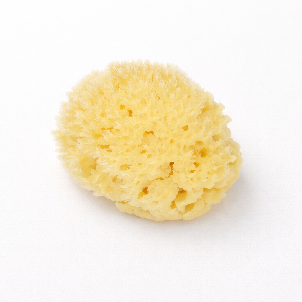 Fra Fra’s Naturals NEW Version of the Large Bath and Shower Sea Sponge