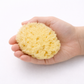 Fra Fra’s Naturals NEW Version of the Large Bath and Shower Sea Sponge
