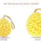 Fra Fra’s Naturals Version of the Large Bath and Shower Coral Sponge